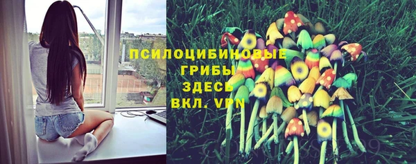 jwh Новозыбков