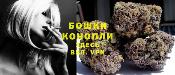 дурь Новодвинск