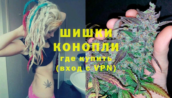дурь Новодвинск