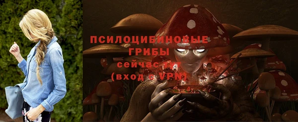 jwh Новозыбков