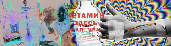 jwh Новозыбков