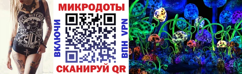 Псилоцибиновые грибы GOLDEN TEACHER закладки Сунжа